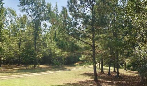 Photo of SOLD!39.4 Acres of Recreational Land For Sale in Lunenburg County VA!