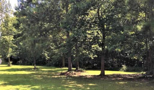 Photo of SOLD!39.4 Acres of Recreational Land For Sale in Lunenburg County VA!