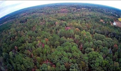 Photo of SOLD!39.4 Acres of Recreational Land For Sale in Lunenburg County VA!