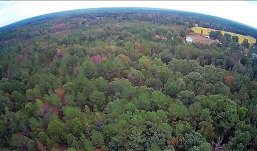 Photo of SOLD!39.4 Acres of Recreational Land For Sale in Lunenburg County VA!
