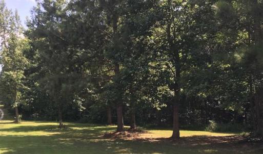 Photo of SOLD!39.4 Acres of Recreational Land For Sale in Lunenburg County VA!