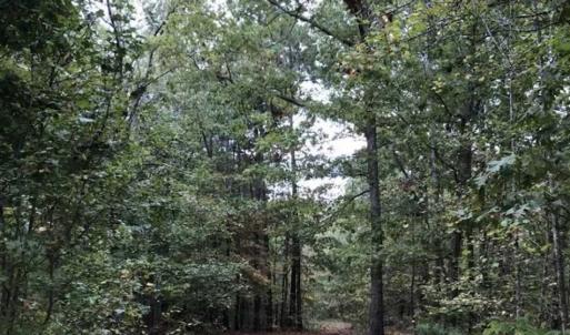 Photo of SOLD!39.4 Acres of Recreational Land For Sale in Lunenburg County VA!