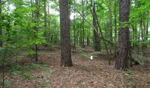 Photo of SOLD!!  5 Acres of Waterfront Timber Land For Sale in Isle of Wight County VA!