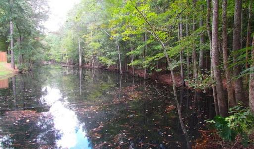 Photo of SOLD!!  5 Acres of Waterfront Timber Land For Sale in Isle of Wight County VA!