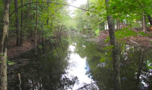 Photo of SOLD!!  5 Acres of Waterfront Timber Land For Sale in Isle of Wight County VA!