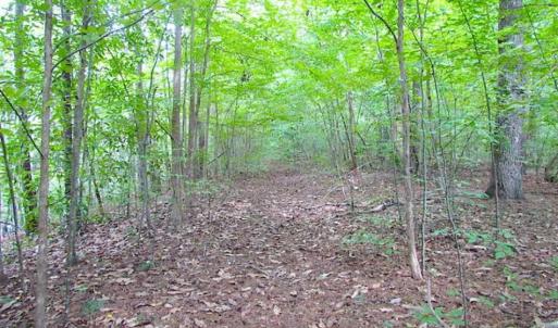Photo of SOLD!!  5 Acres of Waterfront Timber Land For Sale in Isle of Wight County VA!