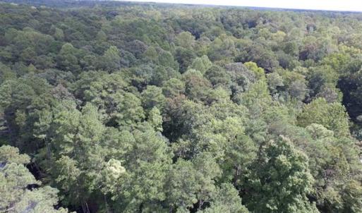 Photo of SOLD!!  5 Acres of Waterfront Timber Land For Sale in Isle of Wight County VA!
