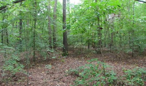 Photo of SOLD!!  5 Acres of Waterfront Timber Land For Sale in Isle of Wight County VA!