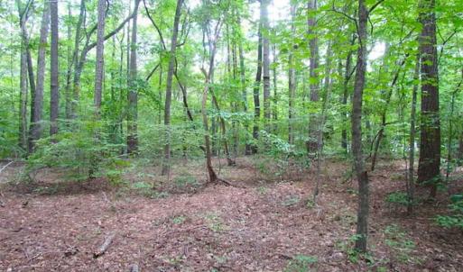 Photo of SOLD!!  5 Acres of Waterfront Timber Land For Sale in Isle of Wight County VA!