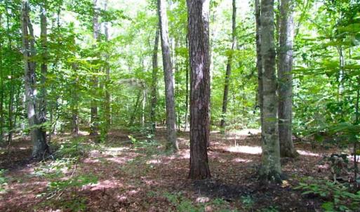 Photo of SOLD!!  5 Acres of Waterfront Timber Land For Sale in Isle of Wight County VA!