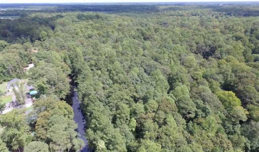 Photo of SOLD!!  5 Acres of Waterfront Timber Land For Sale in Isle of Wight County VA!