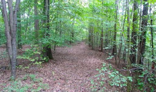 Photo of SOLD!!  5 Acres of Waterfront Timber Land For Sale in Isle of Wight County VA!