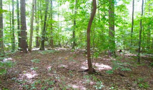 Photo of SOLD!!  5 Acres of Waterfront Timber Land For Sale in Isle of Wight County VA!