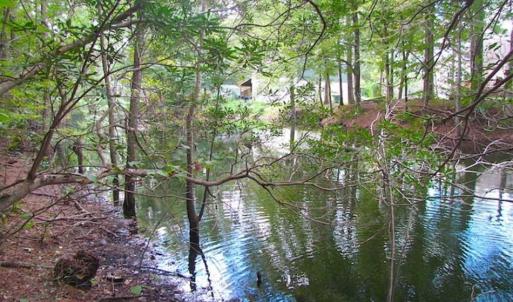 Photo of SOLD!!  5 Acres of Waterfront Timber Land For Sale in Isle of Wight County VA!