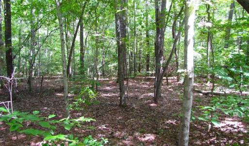 Photo of SOLD!!  5 Acres of Waterfront Timber Land For Sale in Isle of Wight County VA!