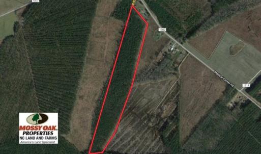 Photo of SOLD!  38 Acres of Hunting and Timber Land for Sale in Gates County NC!