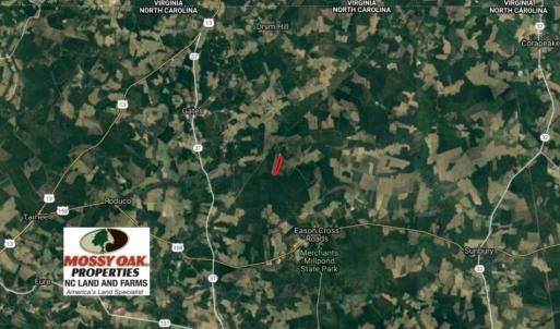 Photo of SOLD!  38 Acres of Hunting and Timber Land for Sale in Gates County NC!