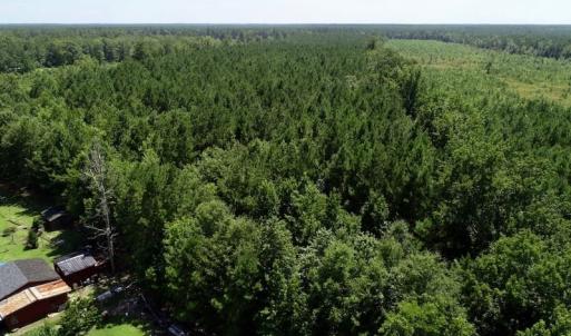 Photo of SOLD!  38 Acres of Hunting and Timber Land for Sale in Gates County NC!