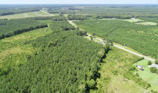 Photo of SOLD!  38 Acres of Hunting and Timber Land for Sale in Gates County NC!