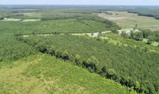 Photo of SOLD!  38 Acres of Hunting and Timber Land for Sale in Gates County NC!