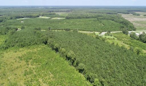 Photo of SOLD!  38 Acres of Hunting and Timber Land for Sale in Gates County NC!