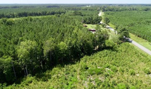 Photo of SOLD!  38 Acres of Hunting and Timber Land for Sale in Gates County NC!
