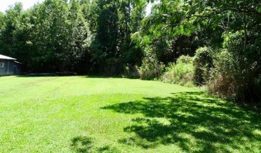 Photo of SOLD!  38 Acres of Hunting and Timber Land for Sale in Gates County NC!