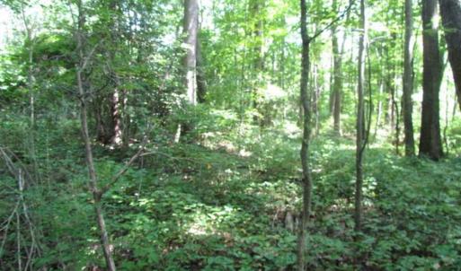 Photo of SOLD!!! 5 Acre Building Lot For Sale in Isle of Wight County VA!