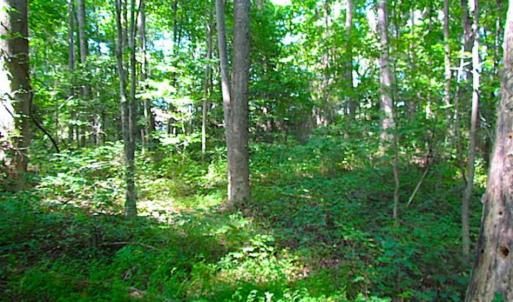 Photo of SOLD!!! 5 Acre Building Lot For Sale in Isle of Wight County VA!