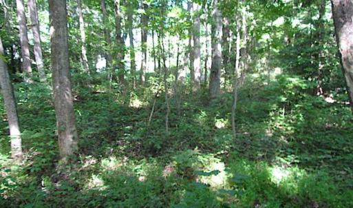 Photo of SOLD!!! 5 Acre Building Lot For Sale in Isle of Wight County VA!