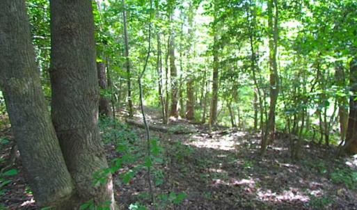 Photo of SOLD!!! 5 Acre Building Lot For Sale in Isle of Wight County VA!