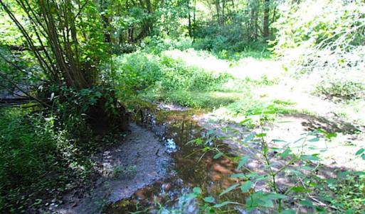 Photo of SOLD!!! 5 Acre Building Lot For Sale in Isle of Wight County VA!
