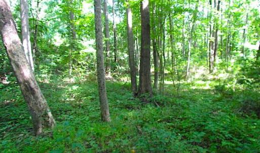 Photo of SOLD!!! 5 Acre Building Lot For Sale in Isle of Wight County VA!
