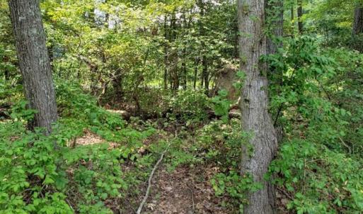 Photo of SOLD!!  1.7 Acres of Residential Building Land For Sale in Lancaster County VA!