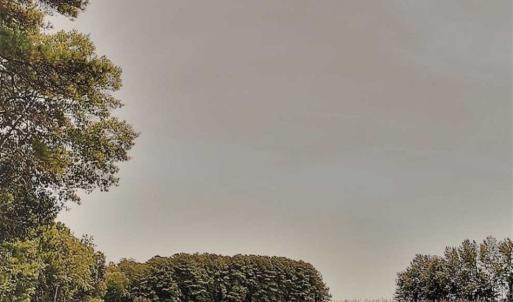 Photo of SOLD!!  1.7 Acres of Residential Building Land For Sale in Lancaster County VA!