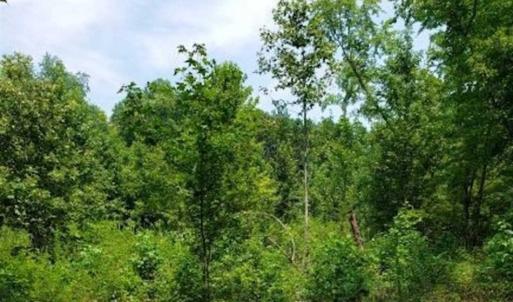 Photo of SOLD!!  1.7 Acres of Residential Building Land For Sale in Lancaster County VA!