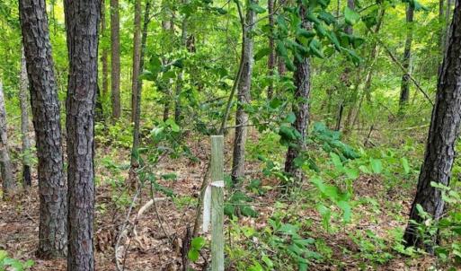 Photo of SOLD!!  1.7 Acres of Residential Building Land For Sale in Lancaster County VA!