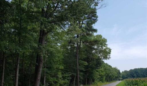 Photo of SOLD!!  1.7 Acres of Residential Building Land For Sale in Lancaster County VA!