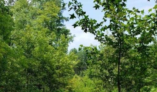 Photo of SOLD!!  1.7 Acres of Residential Building Land For Sale in Lancaster County VA!