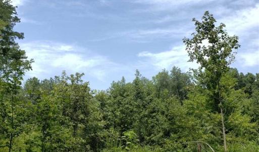 Photo of SOLD!!  1.7 Acres of Residential Building Land For Sale in Lancaster County VA!