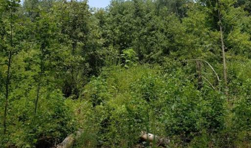 Photo of SOLD!!  1.7 Acres of Residential Building Land For Sale in Lancaster County VA!