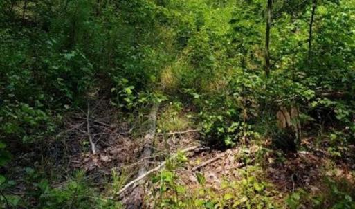 Photo of SOLD!!  1.7 Acres of Residential Building Land For Sale in Lancaster County VA!