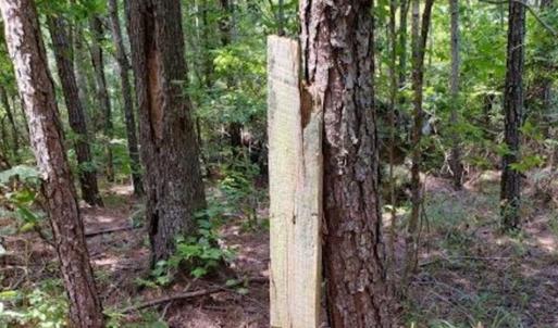 Photo of SOLD!!  1.7 Acres of Residential Building Land For Sale in Lancaster County VA!