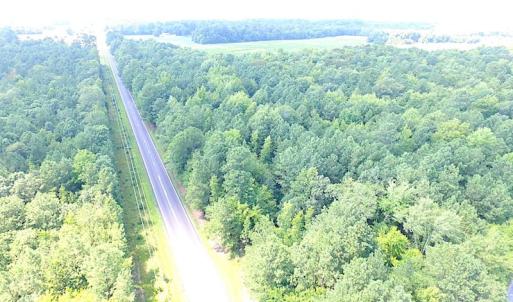 Photo of SOLD!!  6 Acres of Mature Timber Land for Sale in  Surry County VA!
