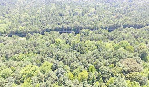 Photo of SOLD!!  6 Acres of Mature Timber Land for Sale in  Surry County VA!