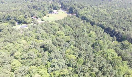 Photo of SOLD!!  6 Acres of Mature Timber Land for Sale in  Surry County VA!