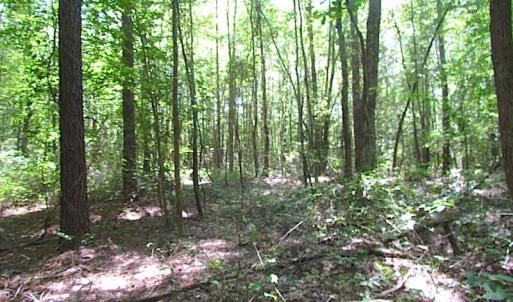 Photo of SOLD!!  6 Acres of Mature Timber Land for Sale in  Surry County VA!