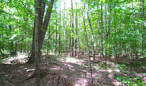 Photo of SOLD!!  6 Acres of Mature Timber Land for Sale in  Surry County VA!