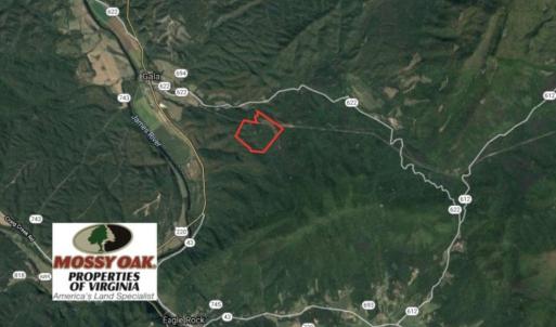 Photo of 148 Acres of Hunting and Recreational Land for Sale in Botetourt County VA!
