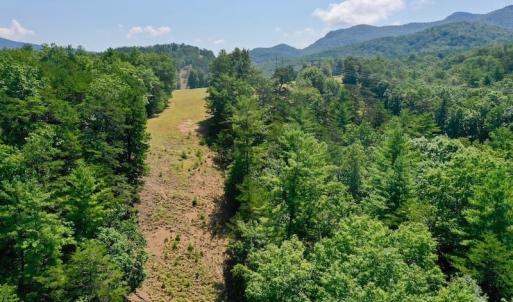 Photo of 148 Acres of Hunting and Recreational Land for Sale in Botetourt County VA!